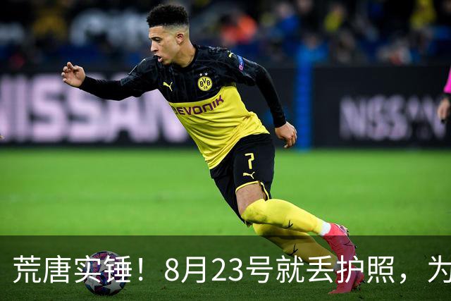 荒唐实锤！8月23号就丢护照，为何死不补办？名记曝光李月汝离队真正内幕